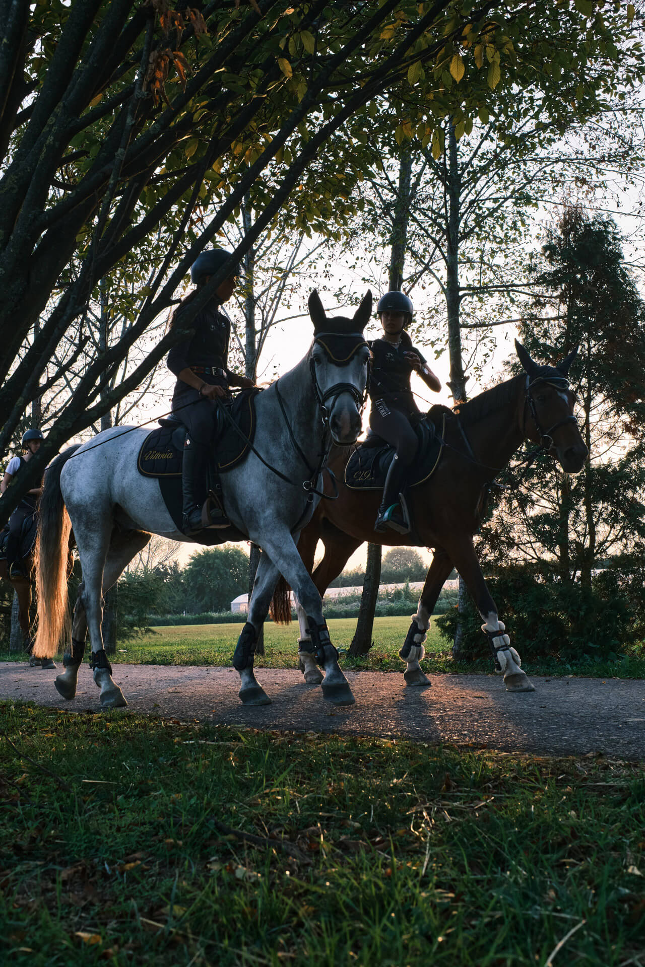 Passeggiata a cavallo presso l'agriturismo La Camilla di Concorezzo