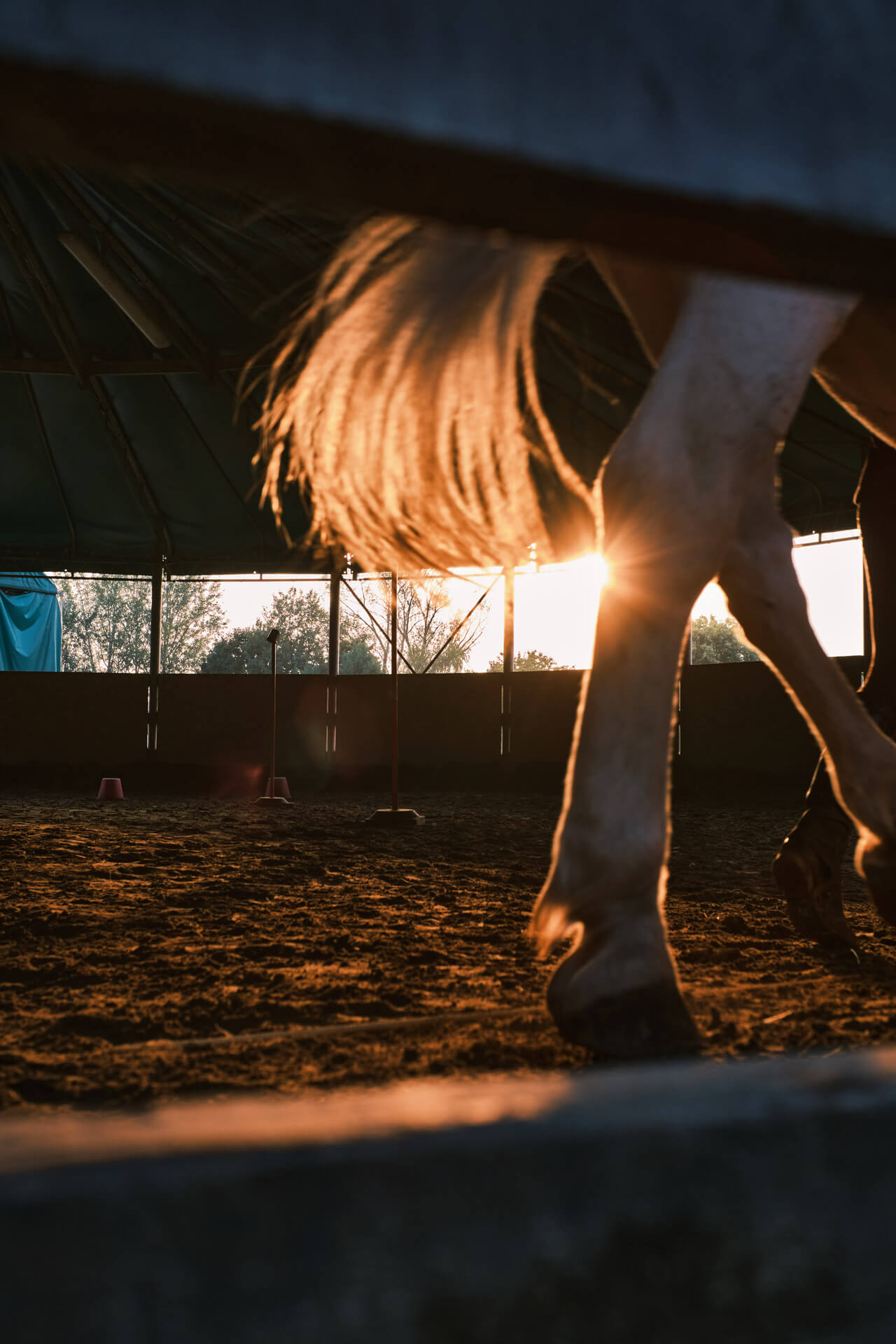 Cavallo presso l'agriturismo La Camilla di Concorezzo