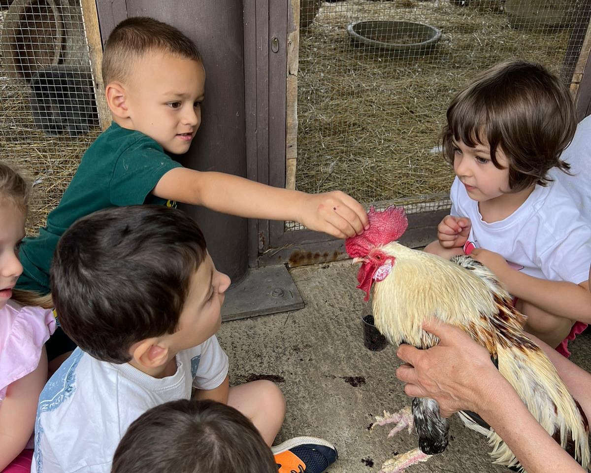bambini che giocano con il gallo presso l'Agriturismo La Camilla di Concorezzo